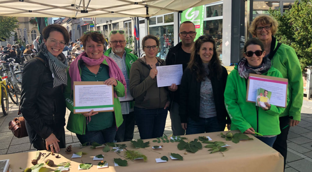 Grüne starten Baumschutzpetition für Wiener Neustadt