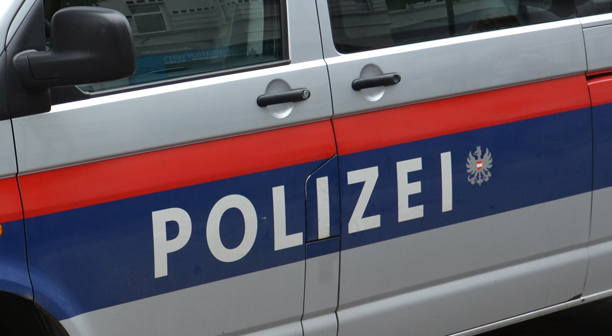Schwere Körperverletzung in Wiener Neustadt geklärt